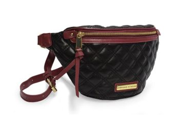 Adrienne vittadini fanny pack hotsell