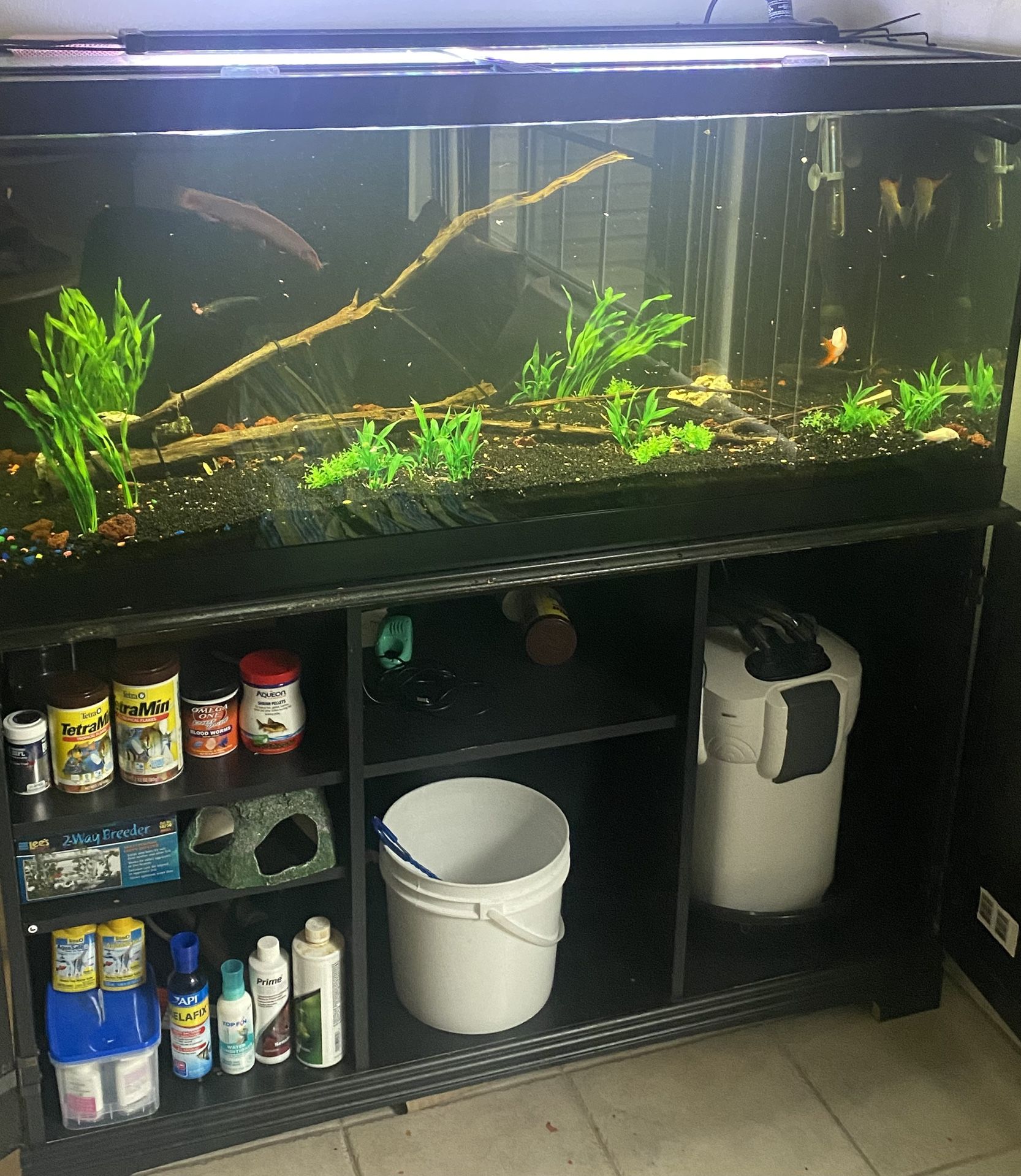 Fish Tank And More……