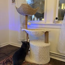 Cat Tree 