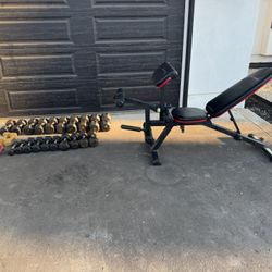 Weight Bench And Dumbbells 