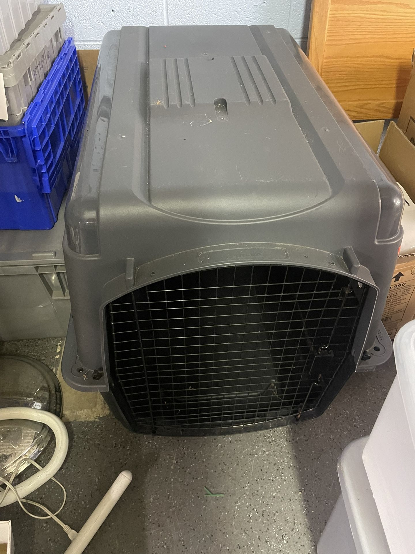 petsmart lg dog crate