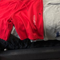 Polo Shorts 