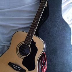 Ibanez Acoustic Guitar
