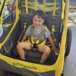 Bicycle Trailer For Kids Schwinn