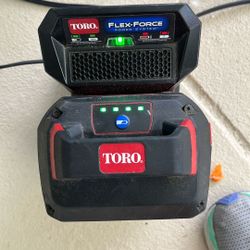 toro 60v battery and charger