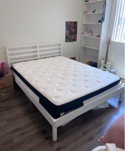 Bed Frame + Mattress