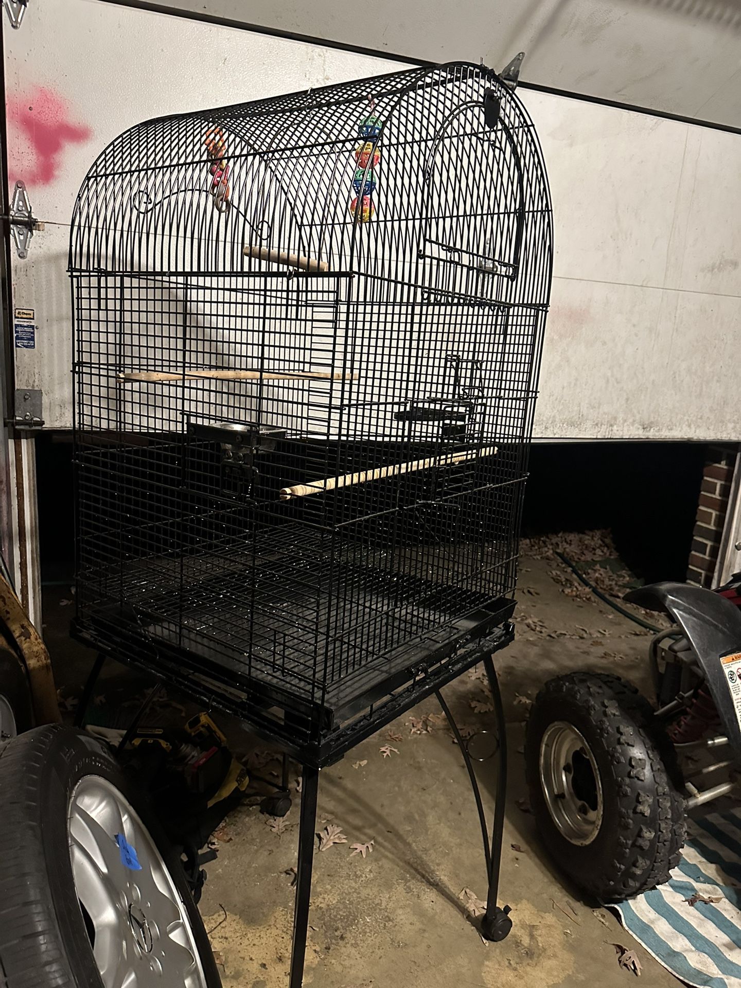 Bird Cage
