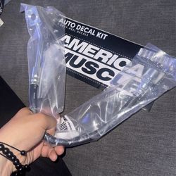 Brake Hose For 99 To 00 Mustang Gt Front End