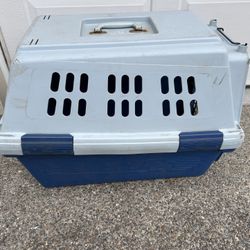 Kennel