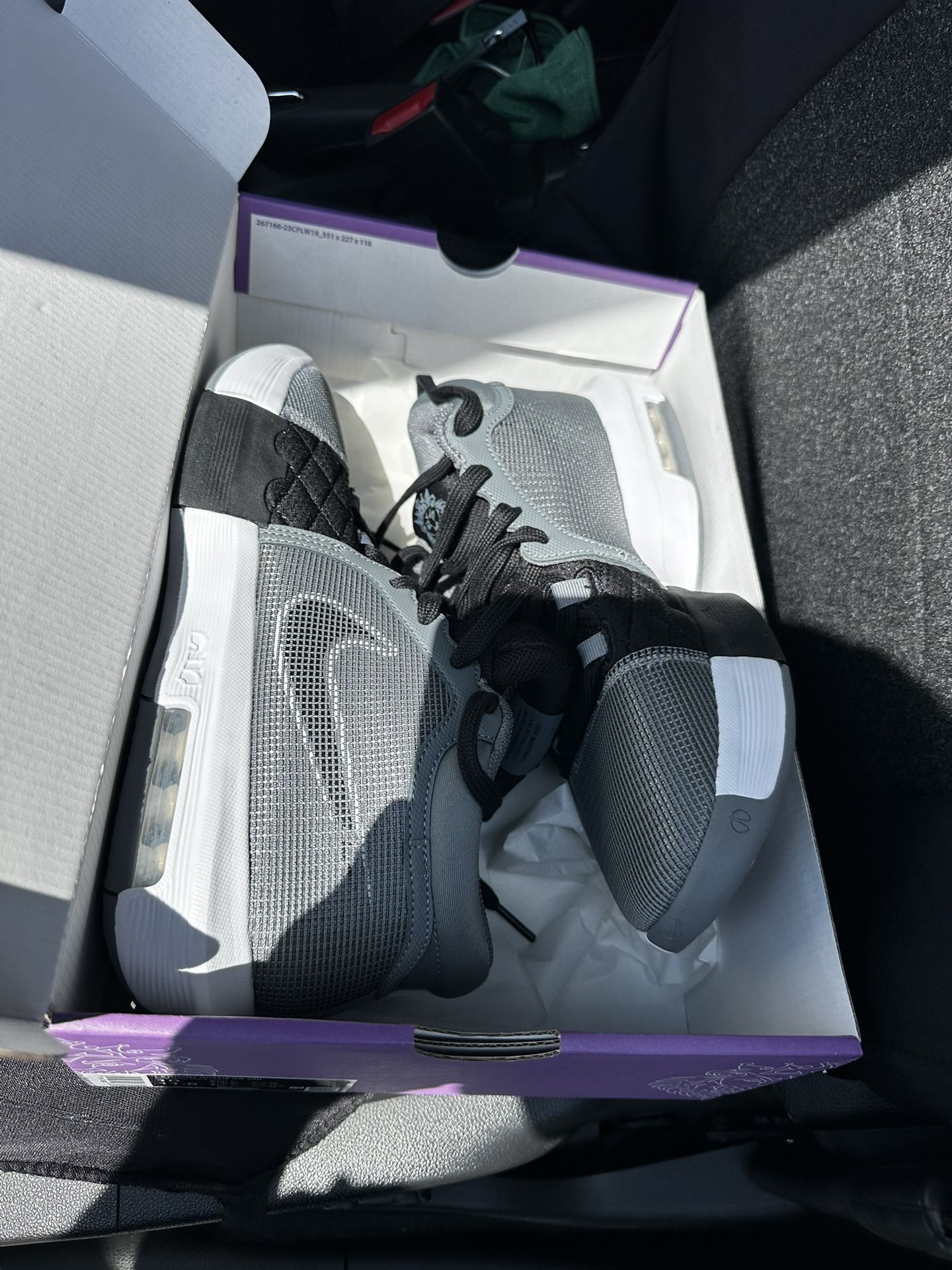 BRAND NEW NIKE LEBRON JAMES SIZE 10