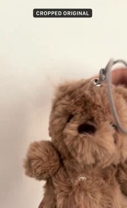 Ariana grande bear from eternal sunshine tour