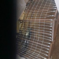 Electric Twin Size Bed And Mattress /w Remote