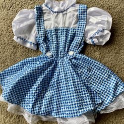 Dorothy Costume