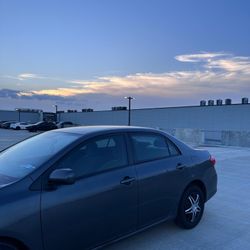 2011 Toyota Corolla