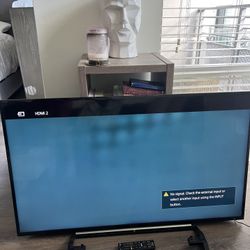 48” Sony Bravia TV