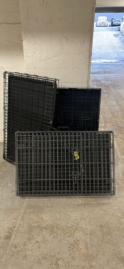 All size metal dog gauges, prices by size and condition