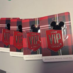 Disney VIP Tour Pins
