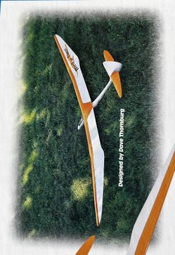 Airplane Kit - R/C - Bird of Time - Wingspan Over 9 Feet ! - Vintage
