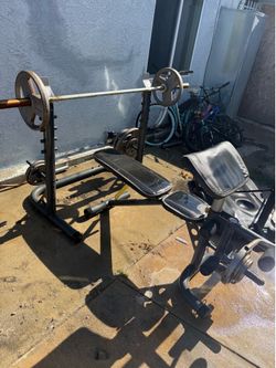 Golds gym bench and weights