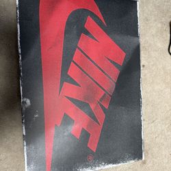 Air Jordan 1 “rare Air”