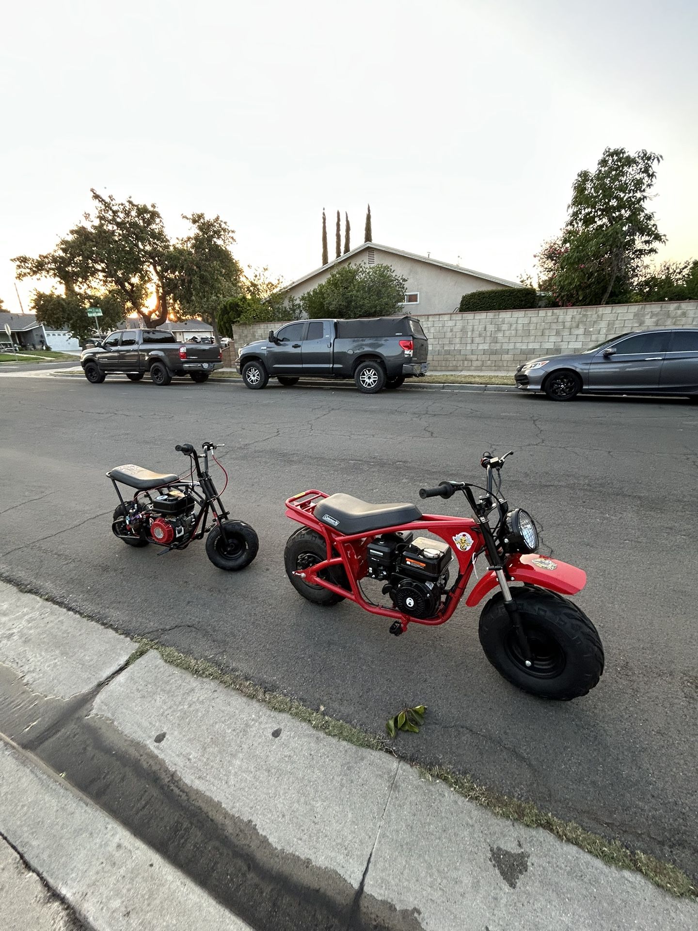 Mini Bike Roller