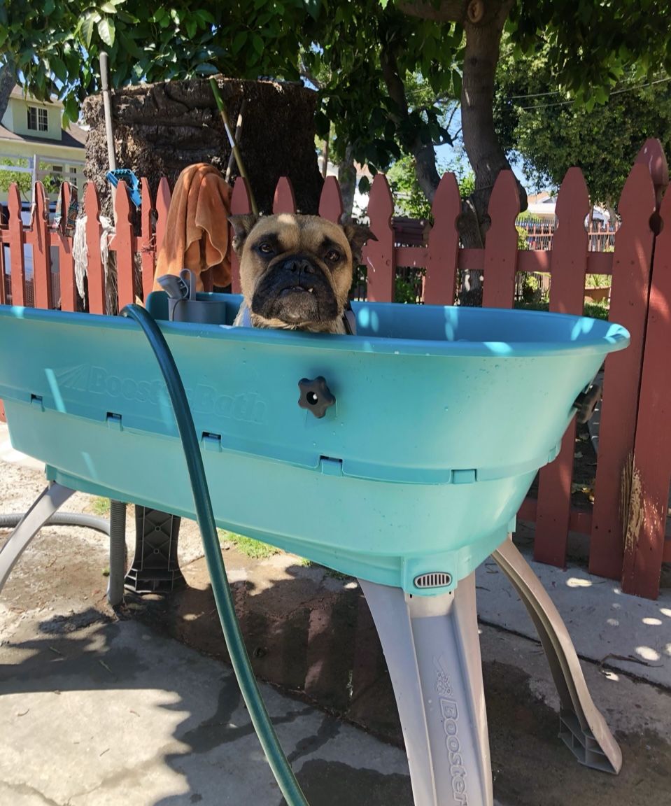 Booster Bath portable Dog Bath