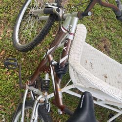 Bicicleta