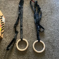 Calisthenic Workout Rings 