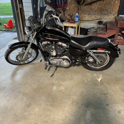 04 Harley Sportster 1200xl