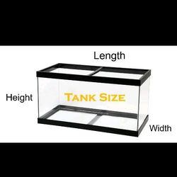 I Have Multiple Fish Tanks Available From A 10 Gallon - 75 Gallon 