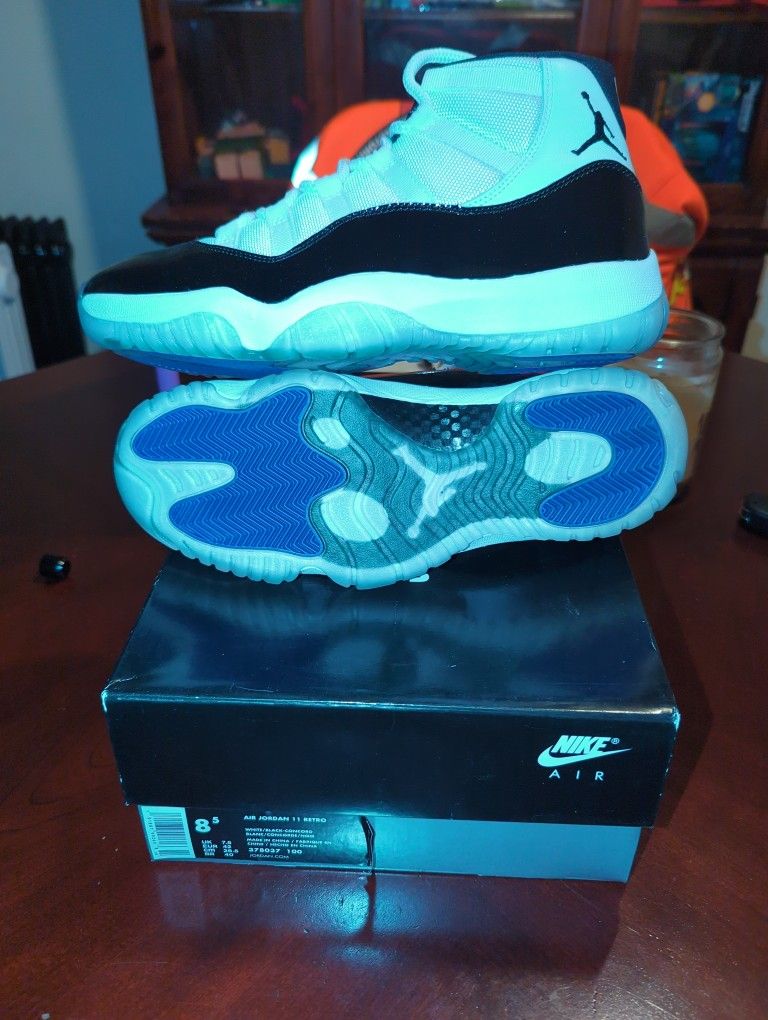 Jordan Retro ( Concord) 11