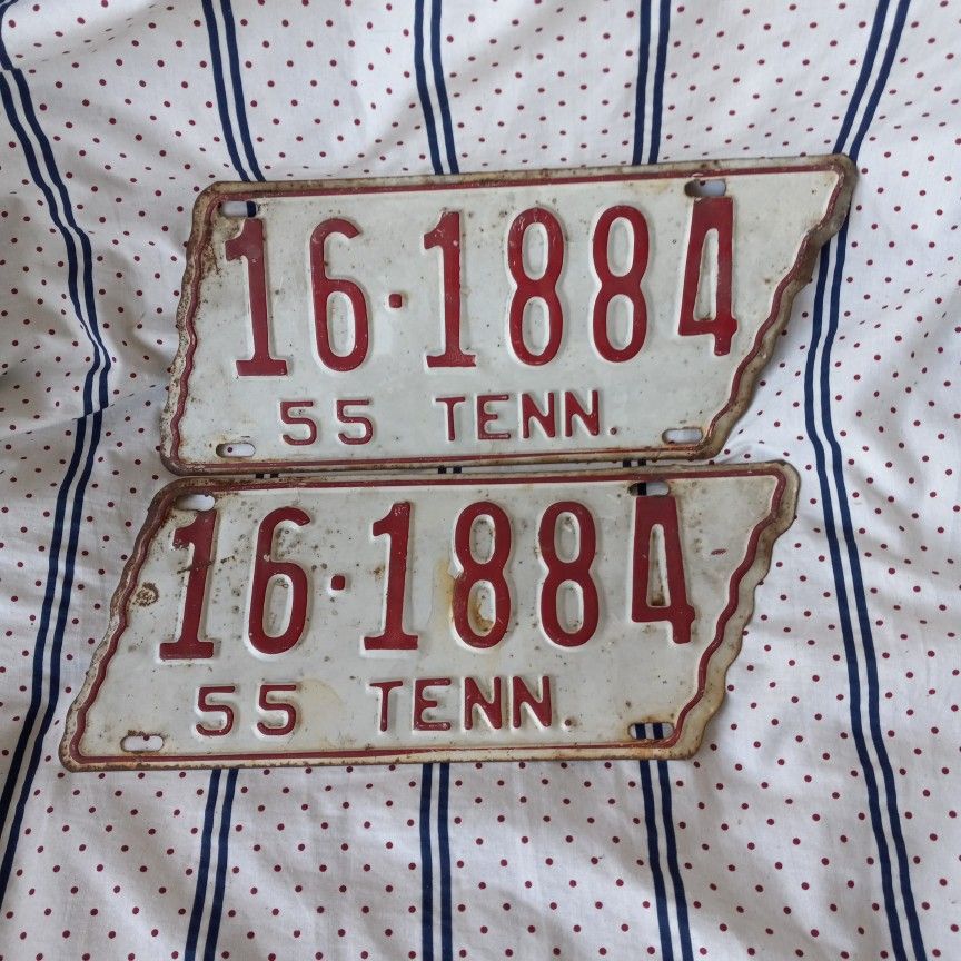 Old55 Tn. Pair