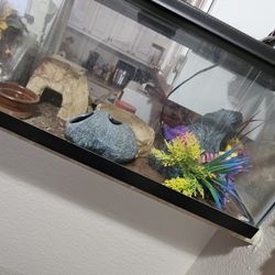 10 Gal