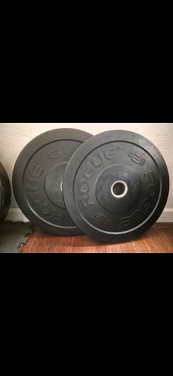 Rogue bumper weights 10lbs