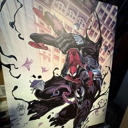 Spider-man / Venom Posterboard