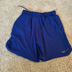 Mens Nike Shorts 