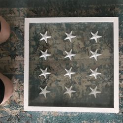 Clear Shadow Box Of Starfish Hangs On Wall