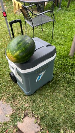 Cooler and beach chair