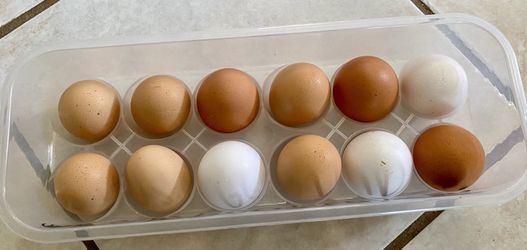 Dozen Eggs