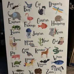 ABC Canvas Pictures. 