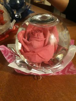 Valentine's day