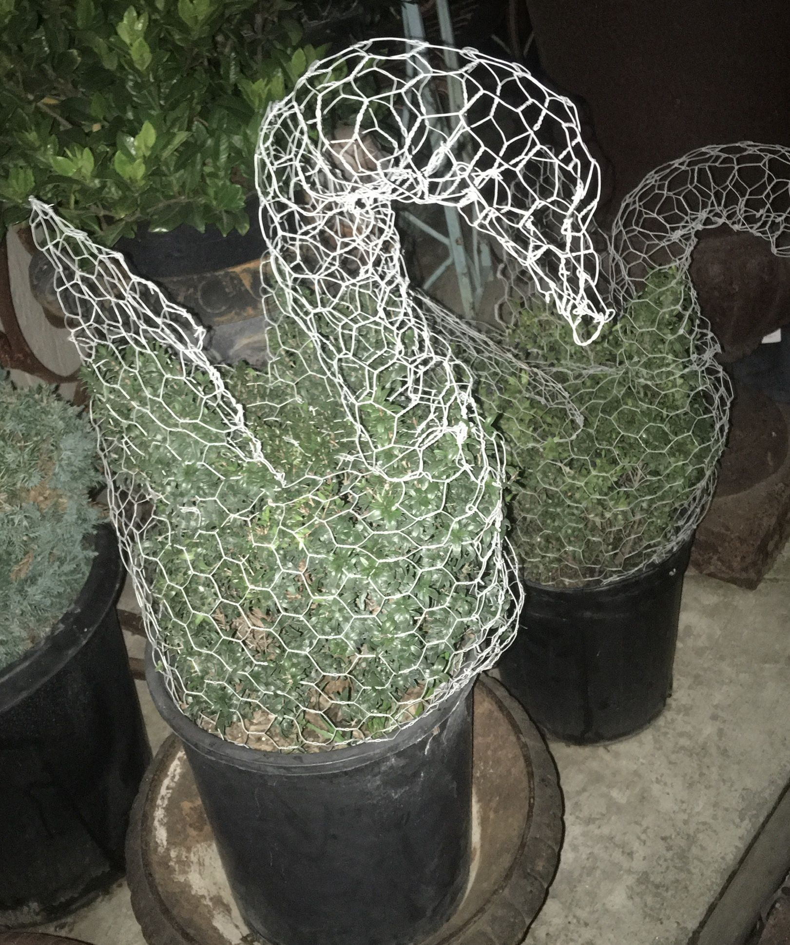 Awesome Gifts! Topiaries MANY Designs! Bear •Heart •Mickie & Minnie Mouse • Hello Kitty • Unicorn •Dog • Cat • Horse • Chicken • Dolphin • AND MORE!