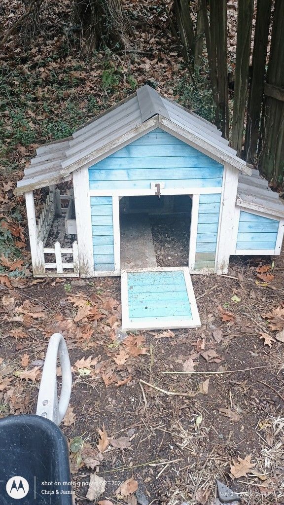 Chicken Coop
