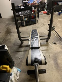 Bench Press/Squat Rack 