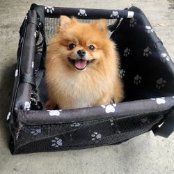 🐾 Pet Car Booster Seat / Travel Carrier 🐾