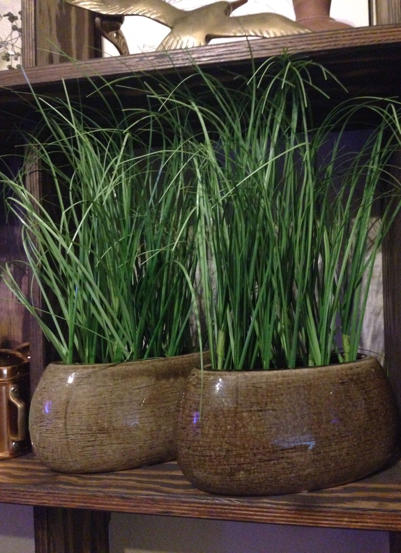 Silkcraft of Oregon faux plants set of 2 for Sale in Steilacoom, WA OfferUp