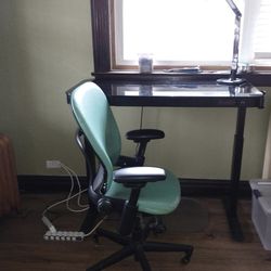 Steelcase Leap Office Chair - $100