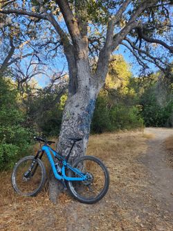 Canyon Neuron 5 Carbon Fiber