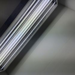 VEG Grow Light