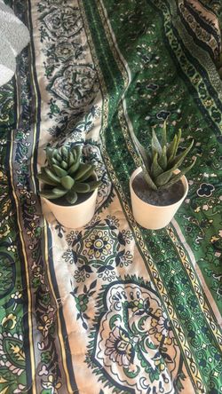 Two Small Potted Succulents in White Pots
